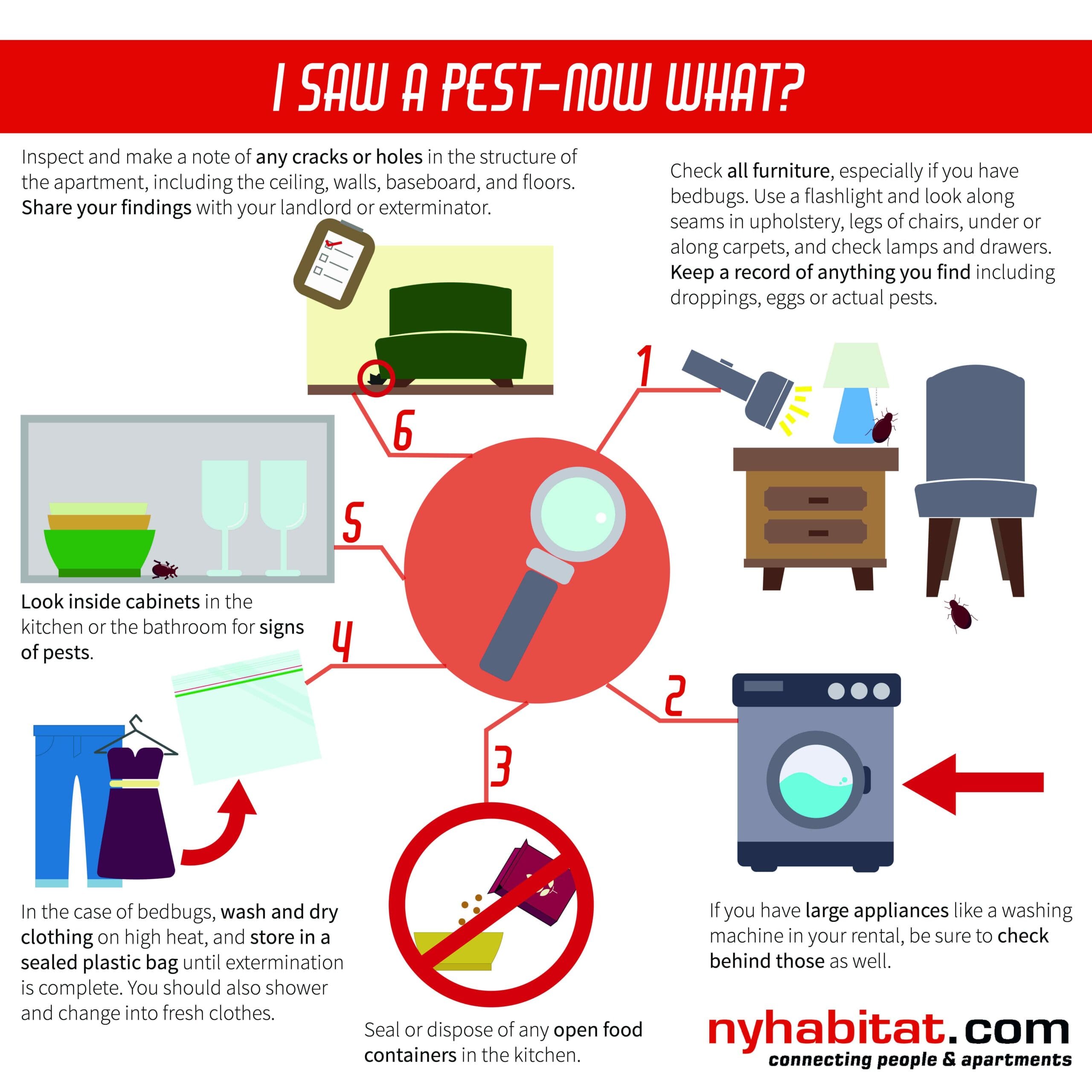 Pest Control In Apartments: What To Expect And How To Prepare | Pest ...