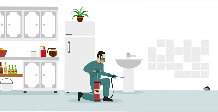 Pest Control In Apartments: What To Expect And How To Prepare
