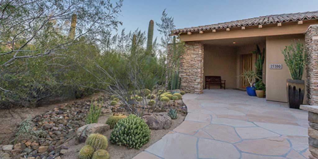Pest Control In Arizona: Challenges And Solutions In The Desert