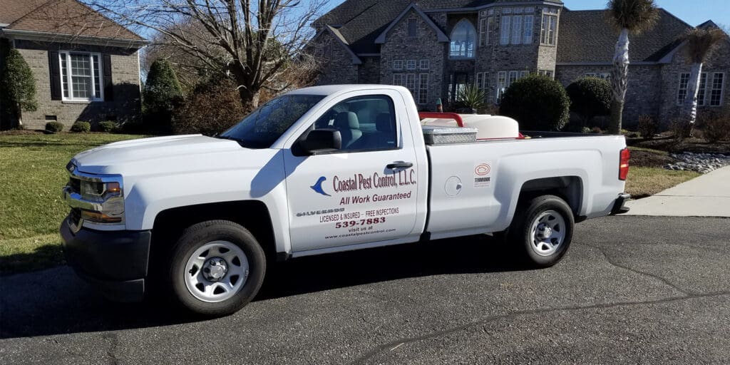 Pest Control In Coastal Areas