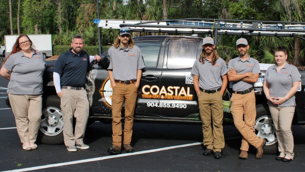 Pest Control In Coastal Areas