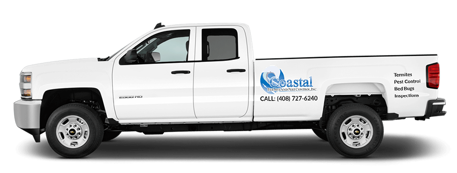 Pest Control In Coastal Areas