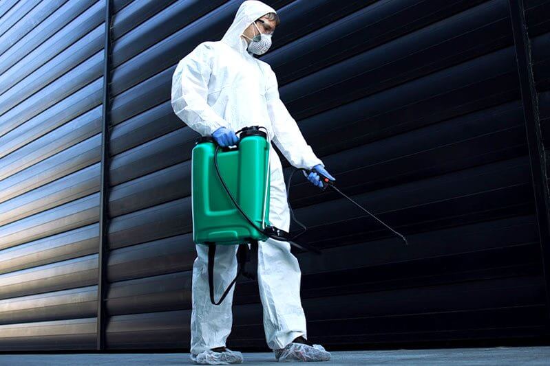 Pest Control In Commercial Properties: Whos Responsible?