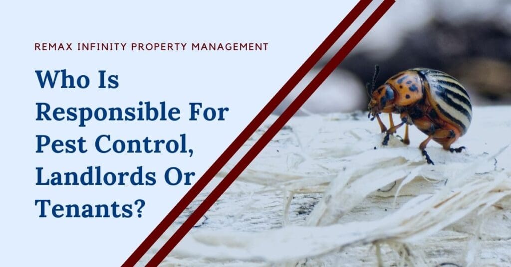 Pest Control In Commercial Properties: Whos Responsible?