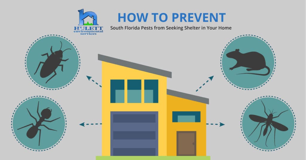 Pest Control In Florida: Unique Challenges And Solutions