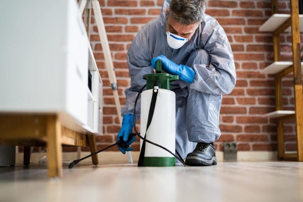 Pest Control In Florida: Unique Challenges And Solutions