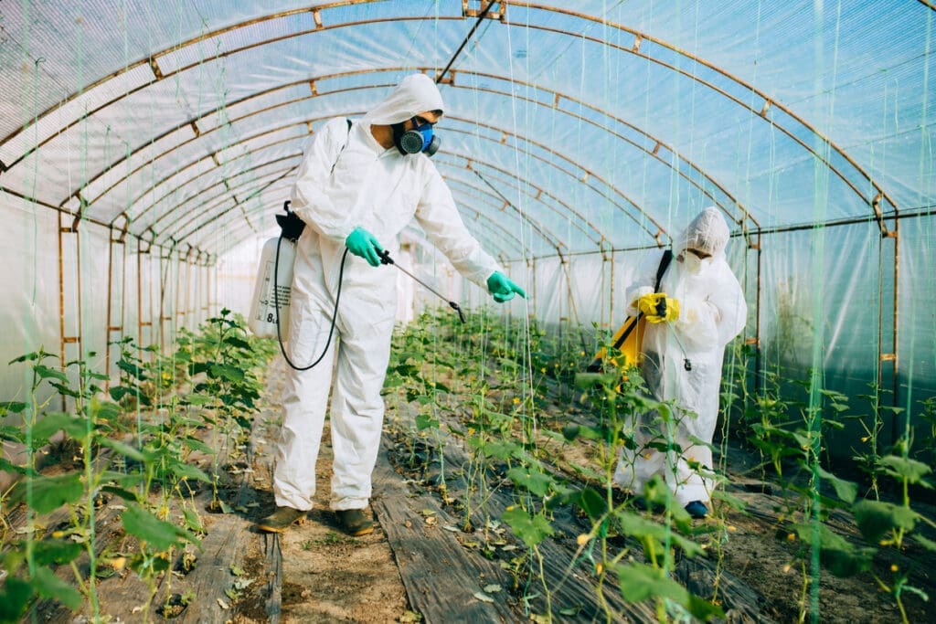 Pest Control In Greenhouses