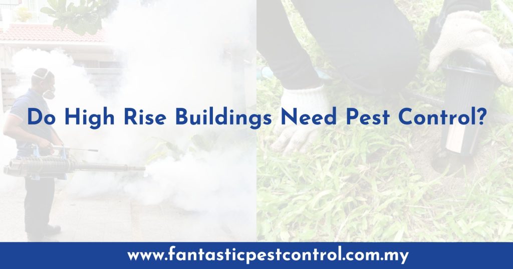 Pest Control In High-Rise Buildings