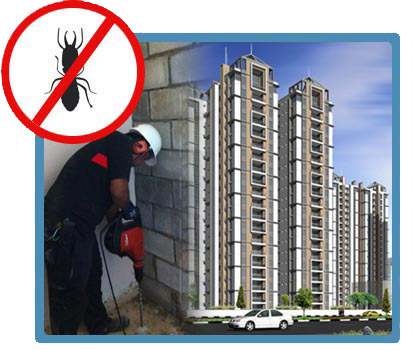 Pest Control In High-Rise Buildings