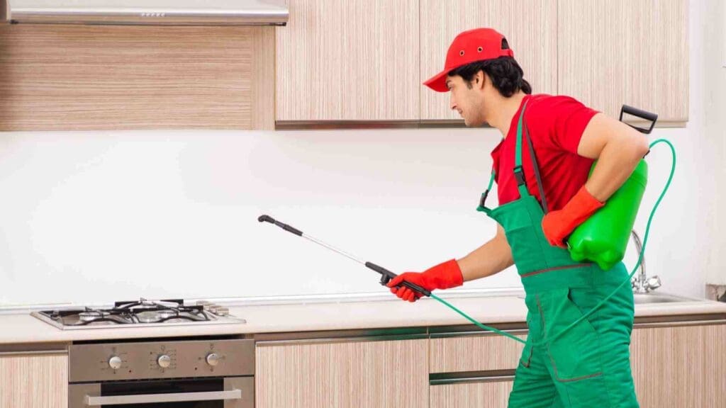 Pest Control In Historical Landmarks