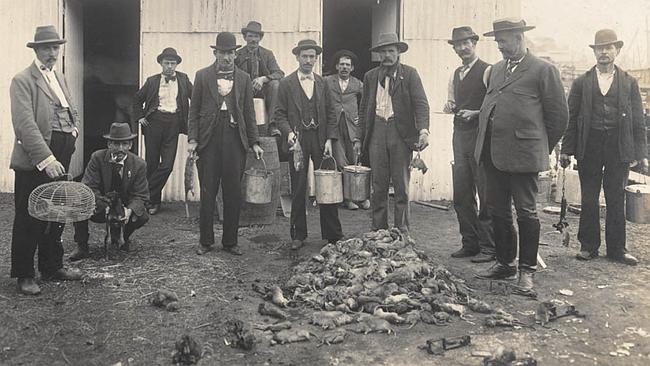 Pest Control In Historical Sites
