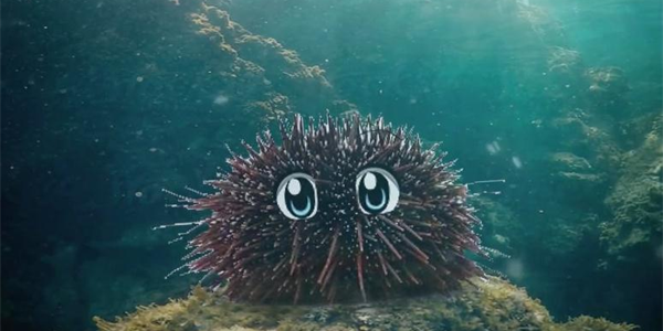 Pest Control In Marine Environments
