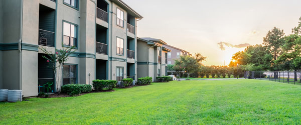 Pest Control In Multi-Story Apartments
