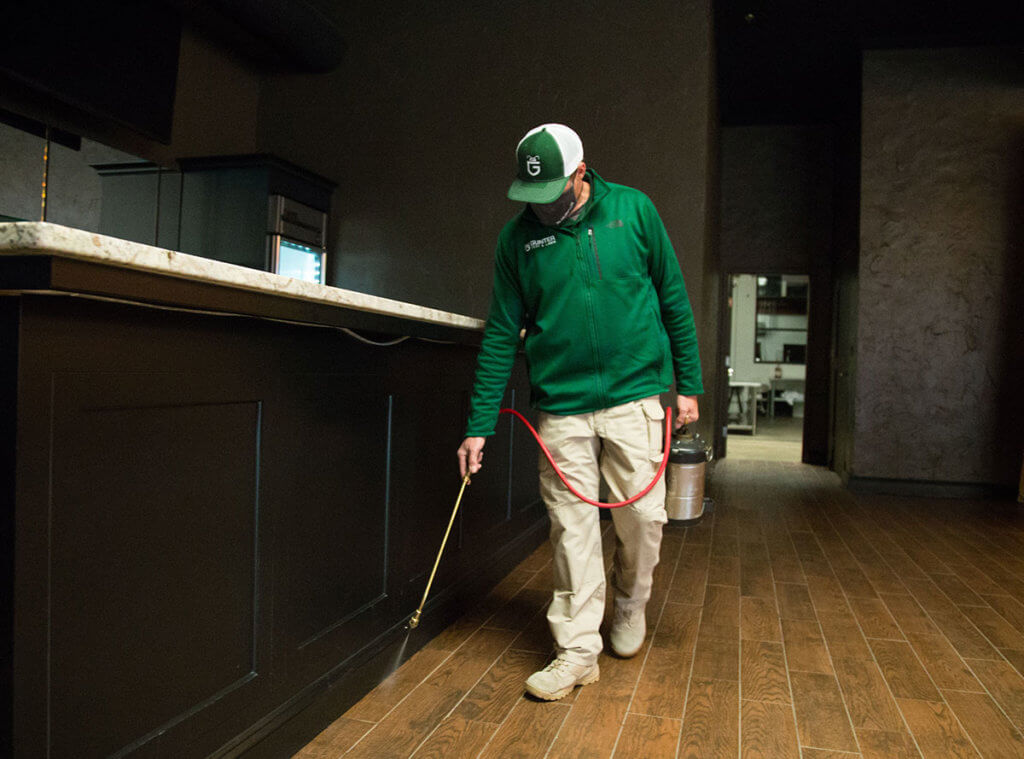 Pest Control In Multi-Story Apartments