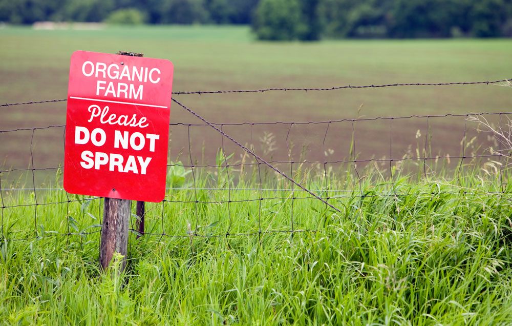 Pest Control In Organic Farming