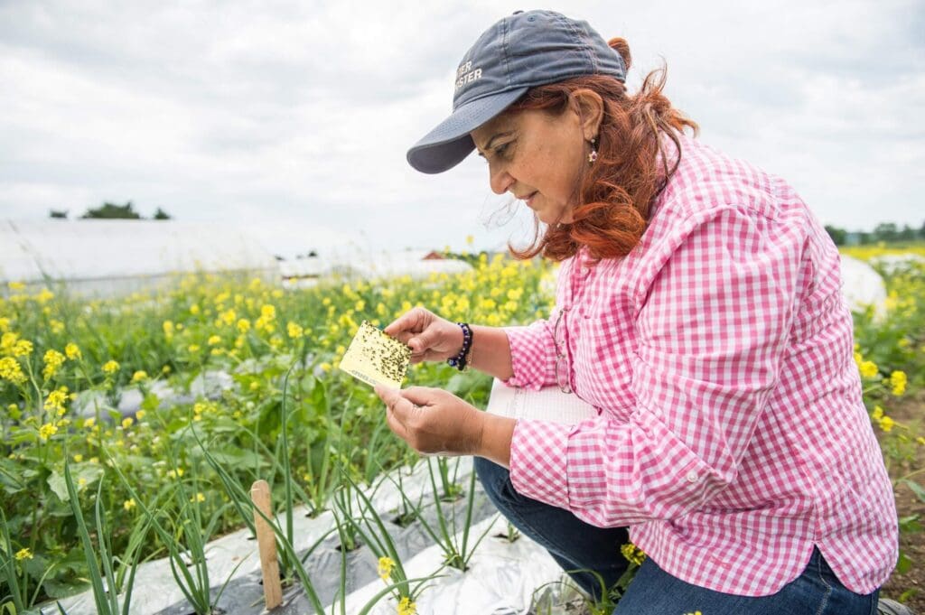 Pest Control In Organic Farming