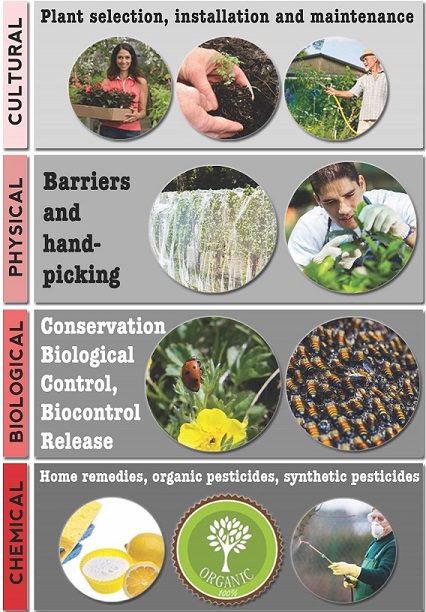 Pest Control In Organic Farming