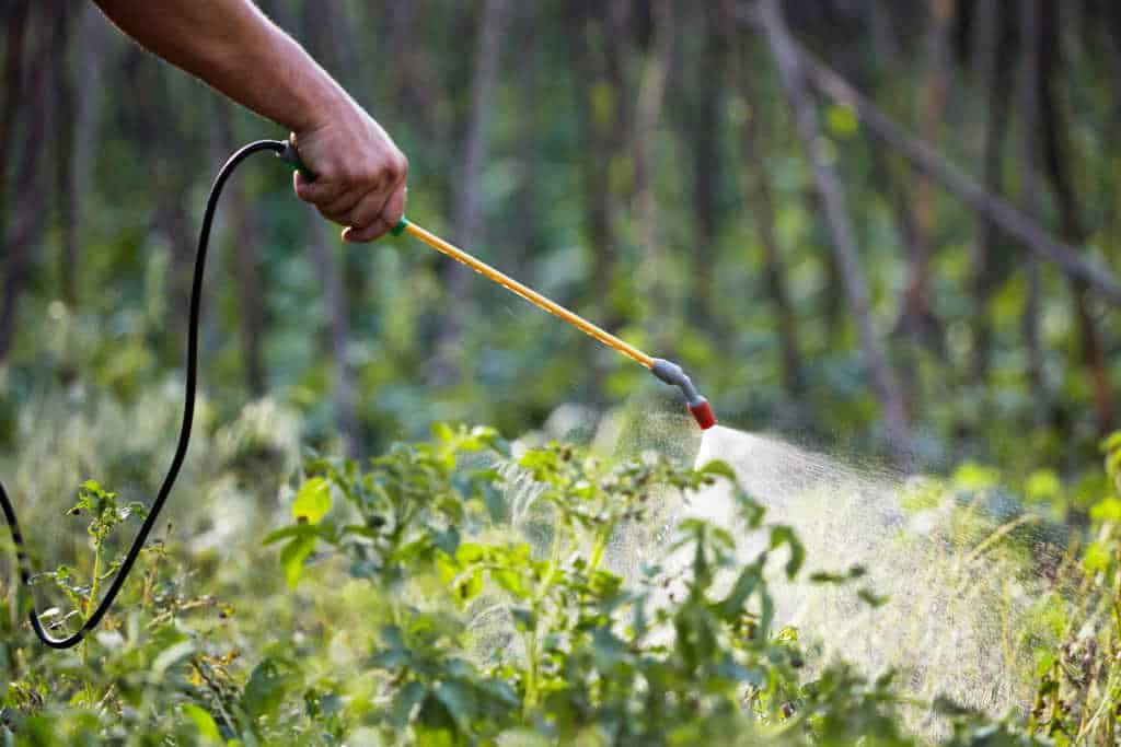 Pest Control In Organic Farming
