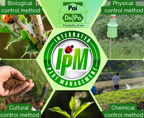 Pest Control In Organic Farming