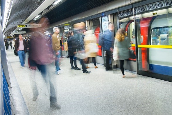 Pest Control In Public Transport Systems