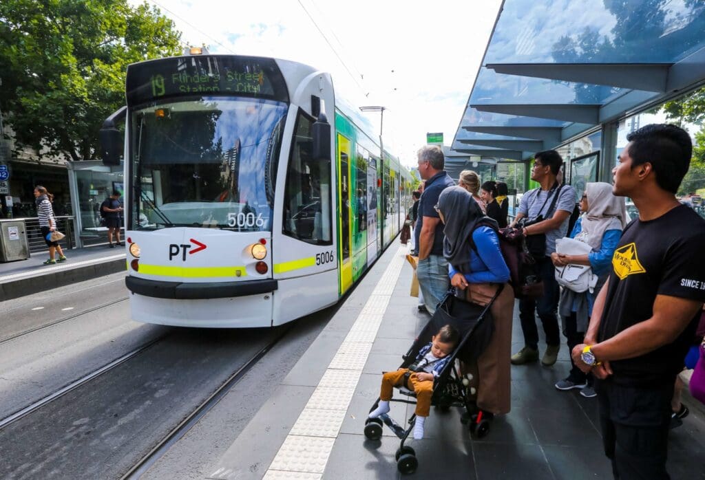 Pest Control In Public Transportation