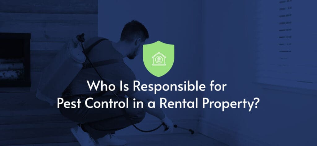 Pest Control In Rental Properties: Landlord Vs. Tenant Responsibilities