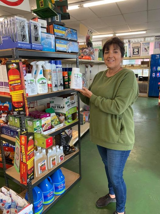 Pest Control In Retail Stores