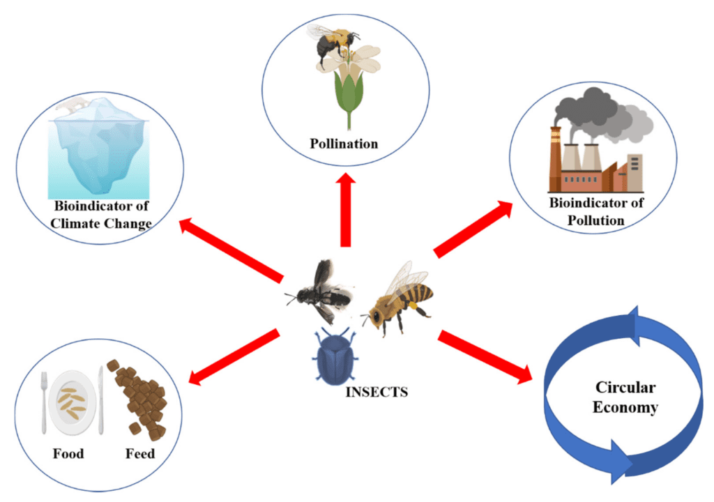 Pest Control In The Cosmetics Industry