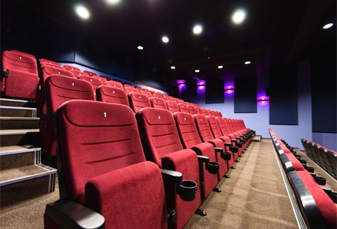 Pest Control In The Film And Theater Industry