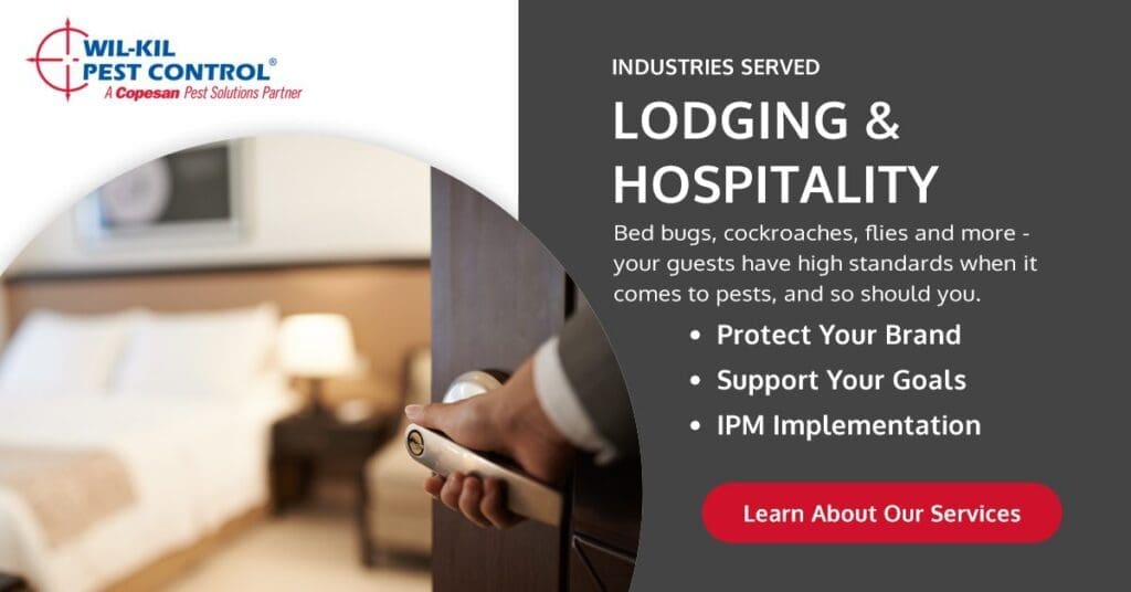 Pest Control In The Hospitality Industry
