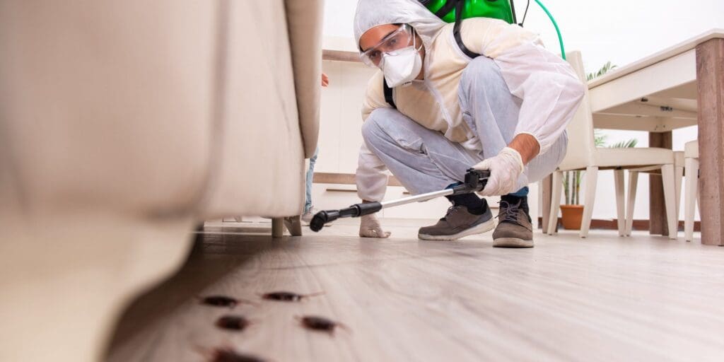 Pest Control In The Hospitality Industry