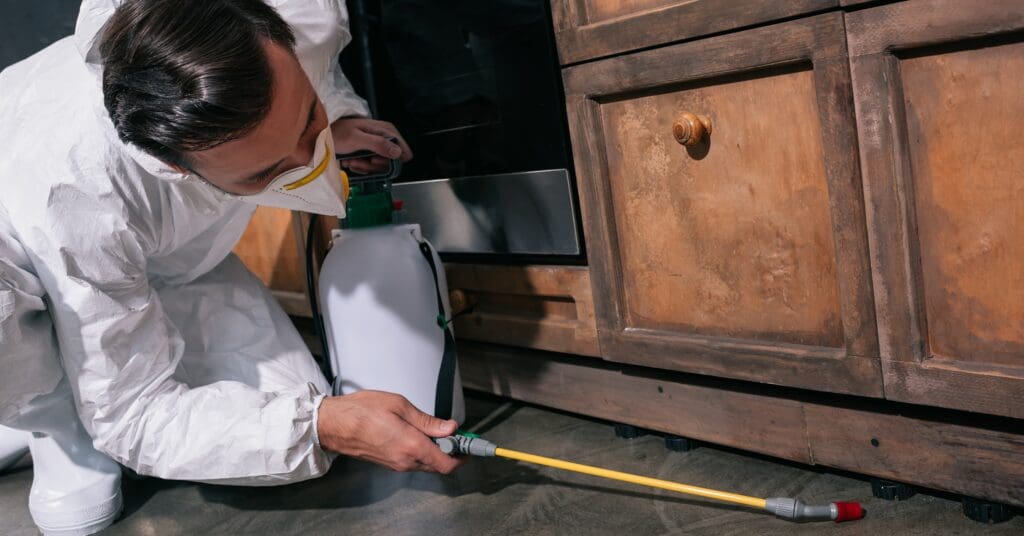 Pest Control In The Hospitality Industry