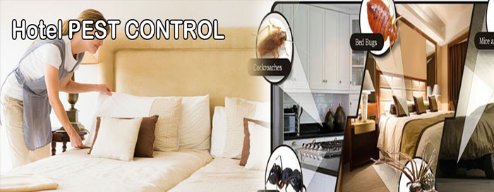 Pest Control In The Hospitality Industry
