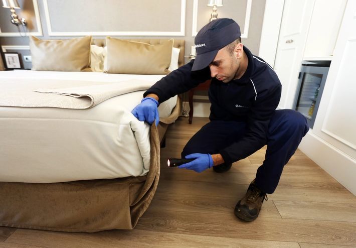 Pest Control In The Hospitality Industry
