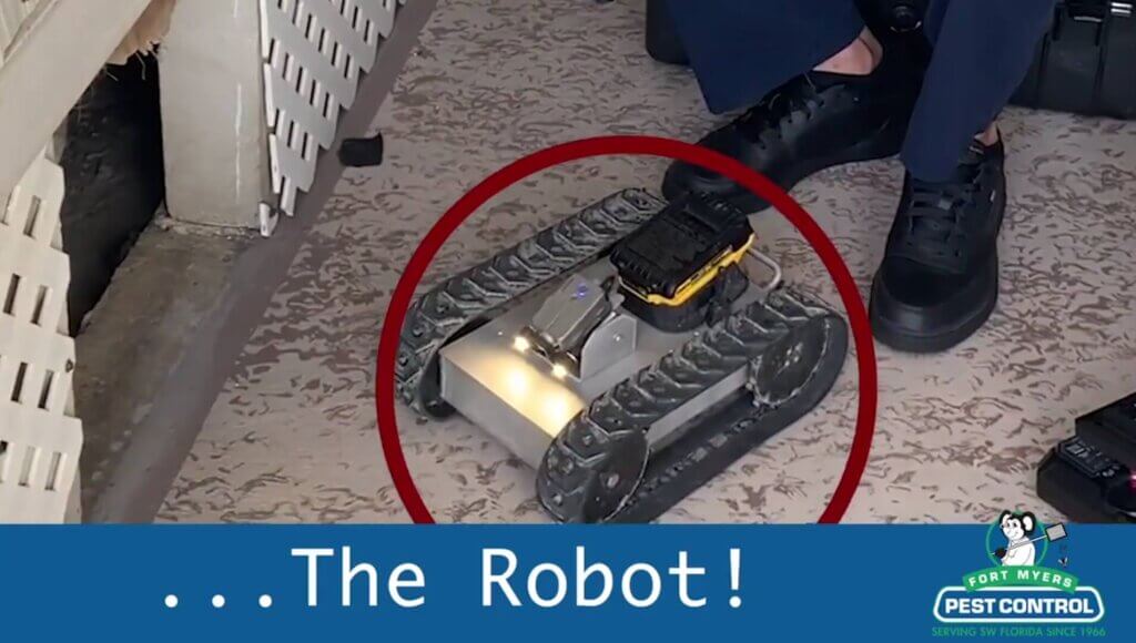 Pest Control In The World Of Robotics