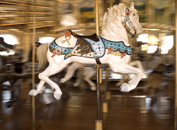 Pest Control In Theme Parks And Recreational Facilities