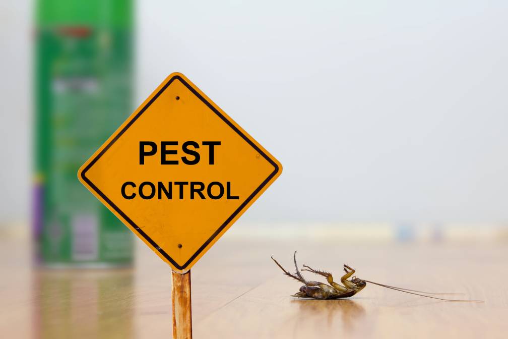 Pest Control In Tropical Climates