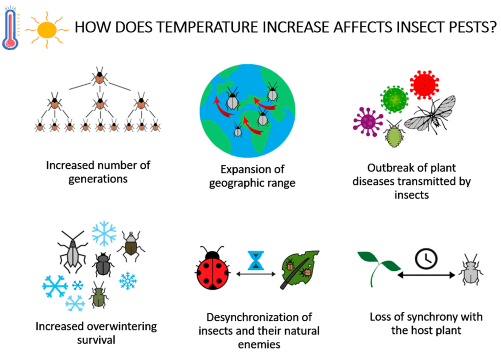 Pest Control In Tropical Climates