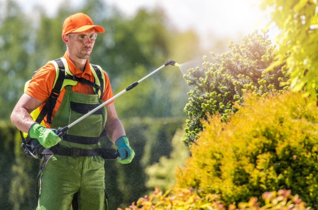 Pest Control In Urban Gardens