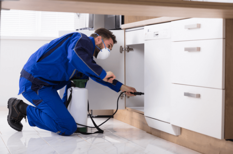 Pest Control In Vacation Homes