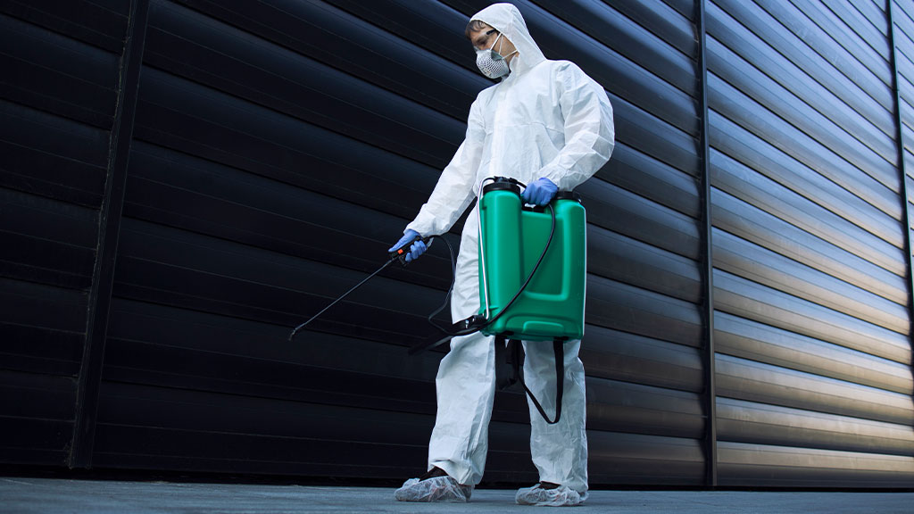Pest Control In Vacation Homes