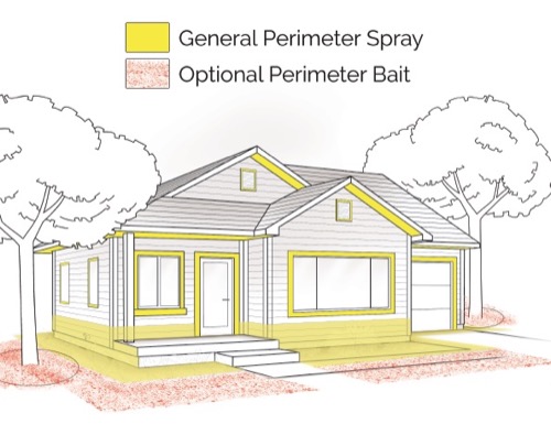 Pest Control Spraying: What Areas In Your House Are Targeted?