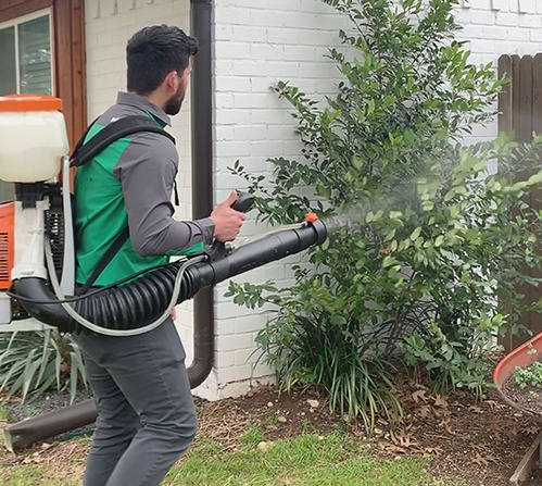 Pest Control Spraying: What Areas In Your House Are Targeted?