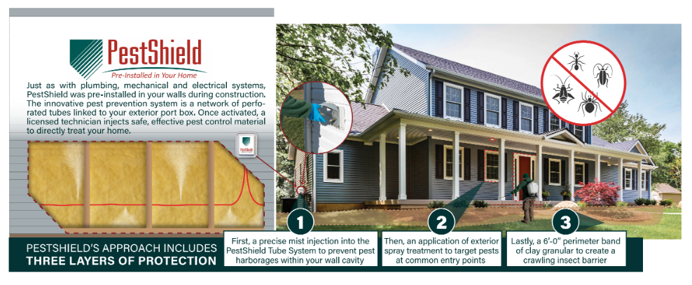 Pest Control Spraying: What Areas In Your House Are Targeted?
