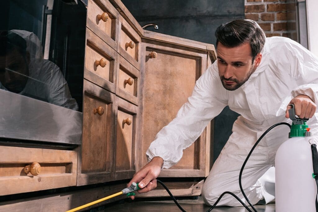 Pest Control Technicians: Roles, Responsibilities, And Earnings