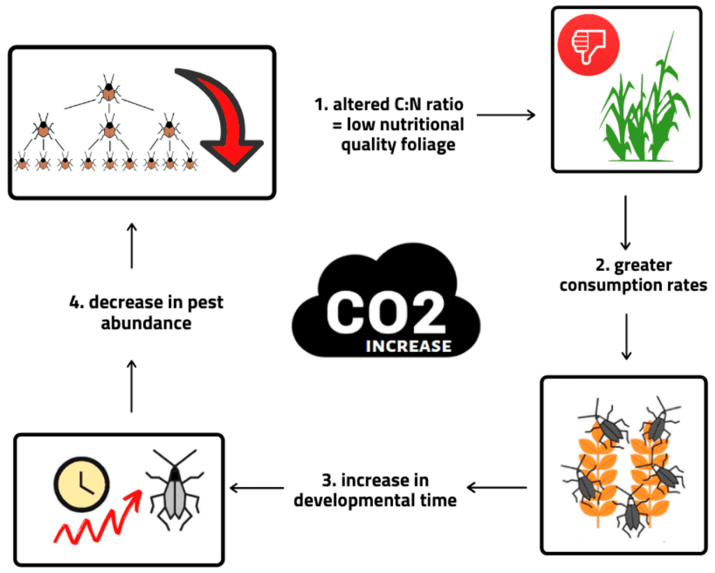 Pests And Climate Change: Whats The Connection?