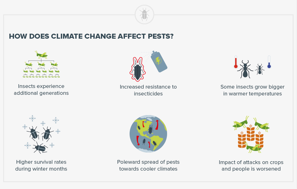 Pests And Climate Change: Whats The Connection?
