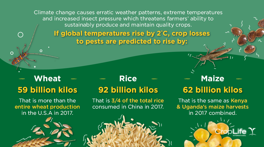 Pests And Climate Change: Whats The Connection?