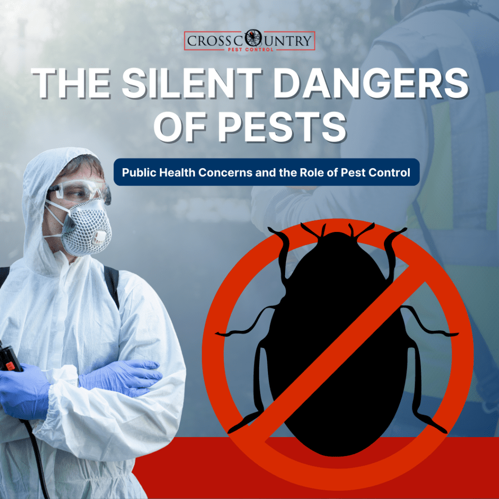 Pests And Public Health: Understanding The Risks