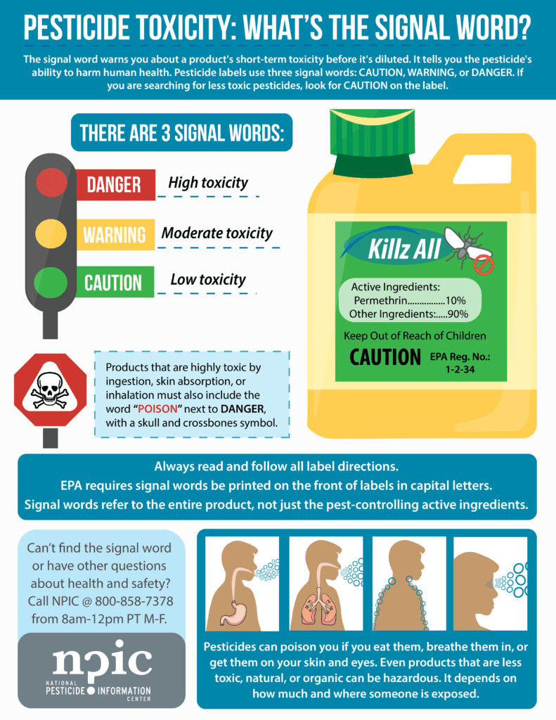Pests And Public Health: Understanding The Risks